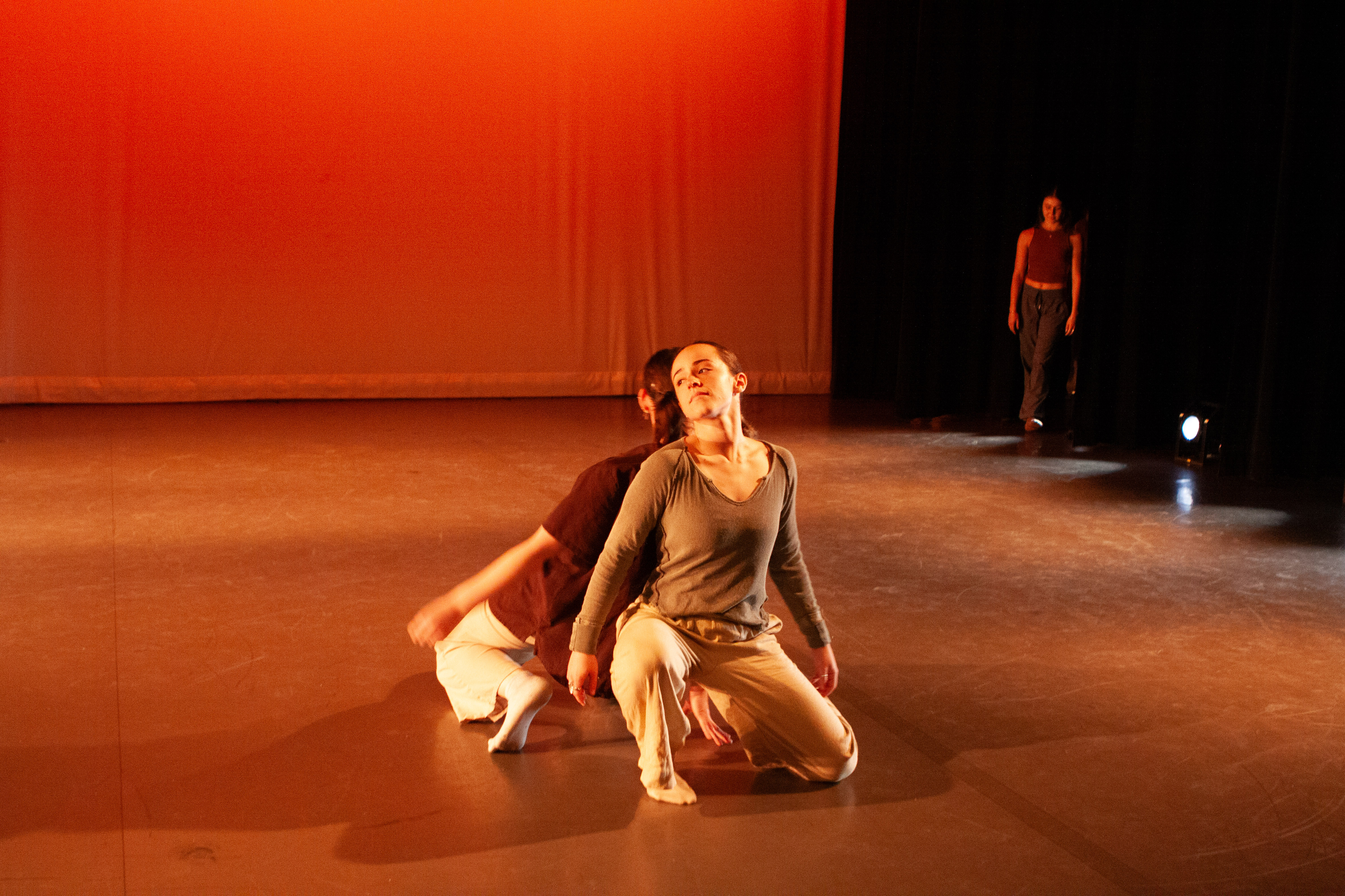 Fundraiser Image 11
